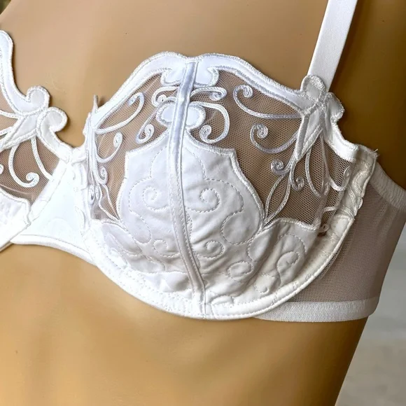 Vintage Ravage white & sheer detailed full coverage bra - Picture 4 of 7